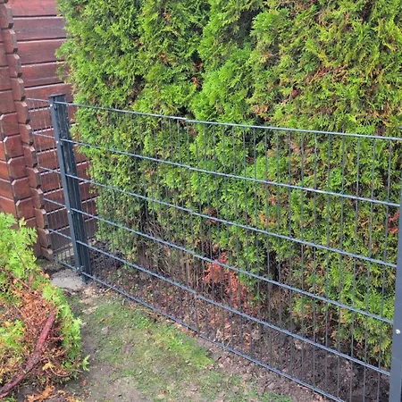 Louja * בוטיאדינגן